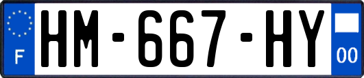 HM-667-HY