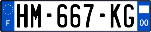 HM-667-KG