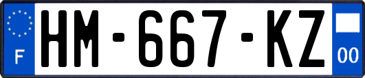 HM-667-KZ