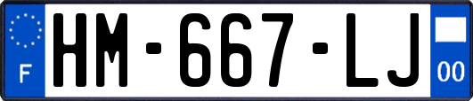 HM-667-LJ