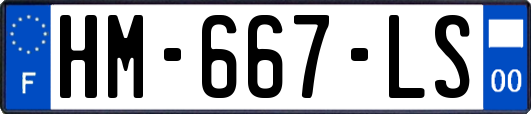HM-667-LS