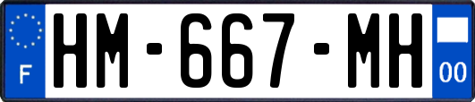 HM-667-MH