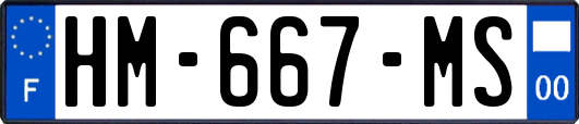 HM-667-MS