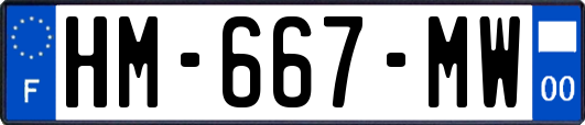 HM-667-MW