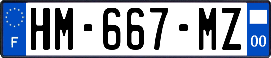 HM-667-MZ