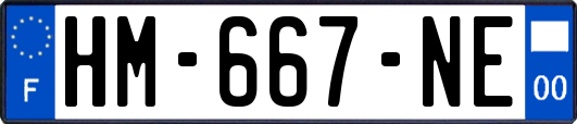 HM-667-NE