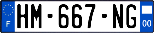 HM-667-NG