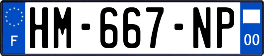 HM-667-NP
