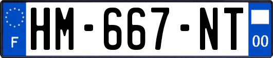 HM-667-NT