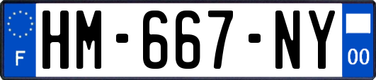 HM-667-NY