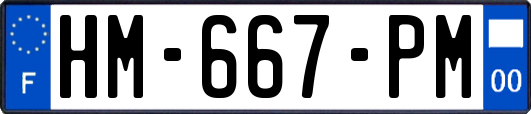 HM-667-PM