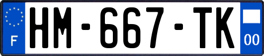 HM-667-TK