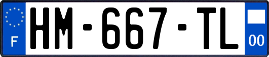 HM-667-TL