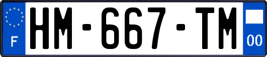 HM-667-TM
