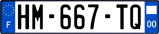 HM-667-TQ