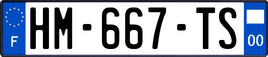 HM-667-TS