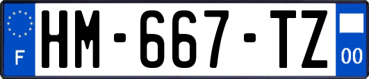 HM-667-TZ
