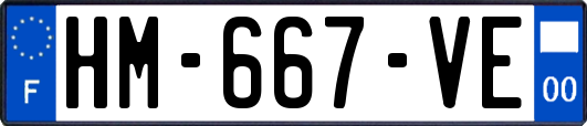 HM-667-VE