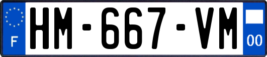 HM-667-VM