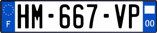 HM-667-VP