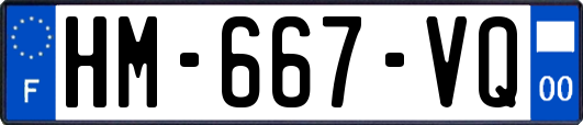 HM-667-VQ