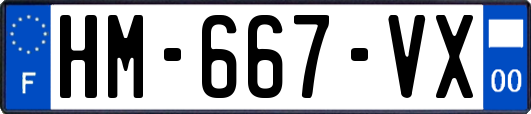 HM-667-VX