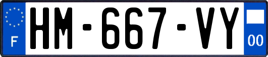 HM-667-VY