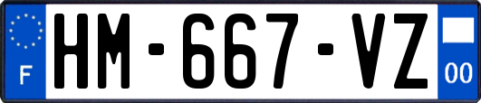 HM-667-VZ
