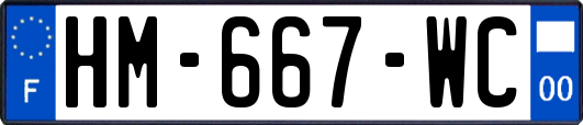 HM-667-WC