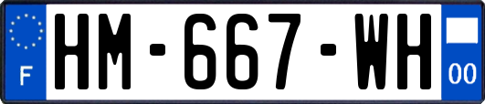 HM-667-WH