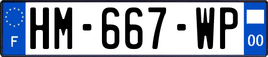 HM-667-WP
