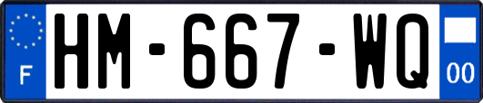HM-667-WQ
