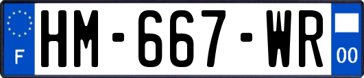 HM-667-WR