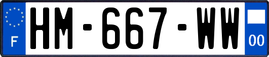 HM-667-WW