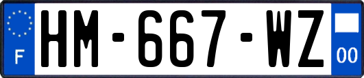 HM-667-WZ