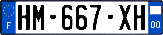 HM-667-XH