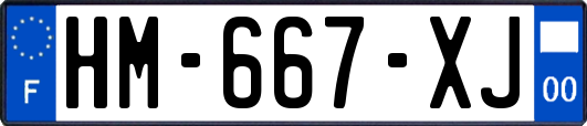 HM-667-XJ