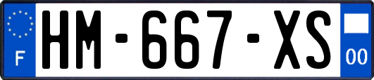 HM-667-XS