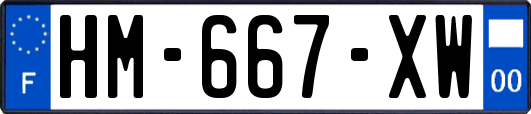 HM-667-XW