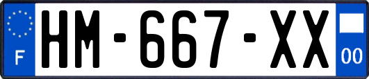 HM-667-XX