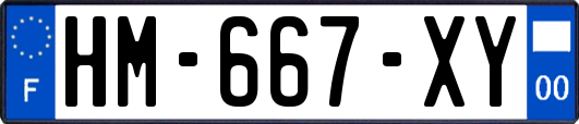 HM-667-XY