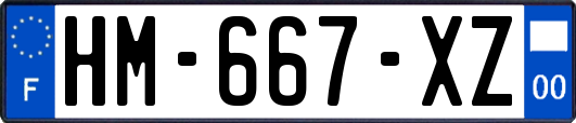 HM-667-XZ