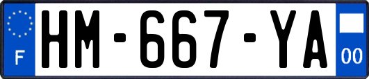 HM-667-YA