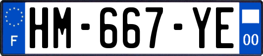 HM-667-YE