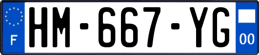HM-667-YG