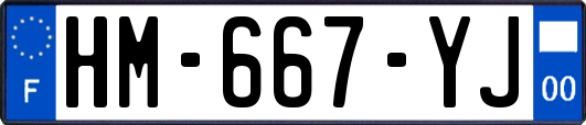 HM-667-YJ