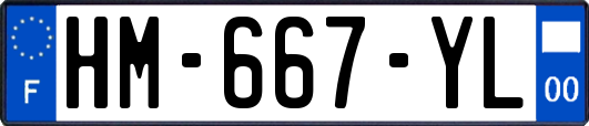 HM-667-YL