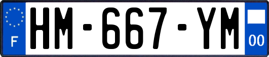 HM-667-YM