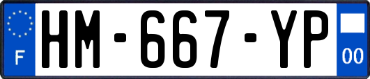 HM-667-YP