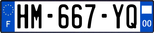 HM-667-YQ